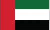 2x3-united-arab-emirates-flag